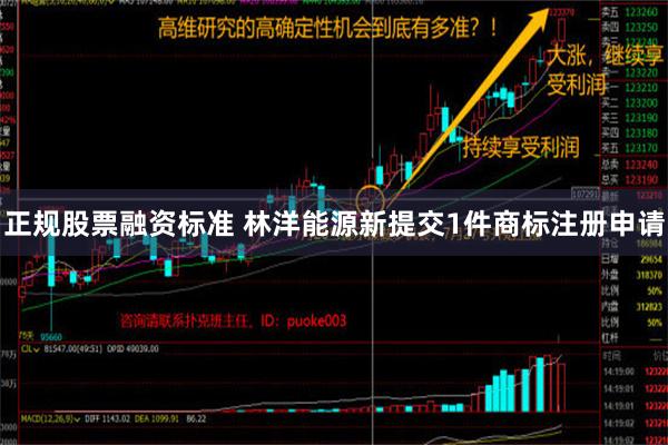 正规股票融资标准 林洋能源新提交1件商标注册申请