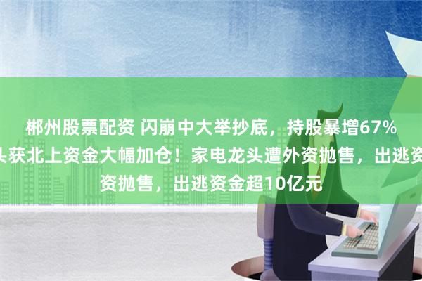 郴州股票配资 闪崩中大举抄底，持股暴增67%，元器件龙头获北上资金大幅加仓！家电龙头遭外资抛售，出逃资金超10亿元