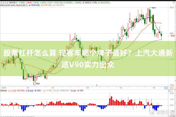 股票杠杆怎么算 轻客车哪个牌子最好？上汽大通新途V90实力出众