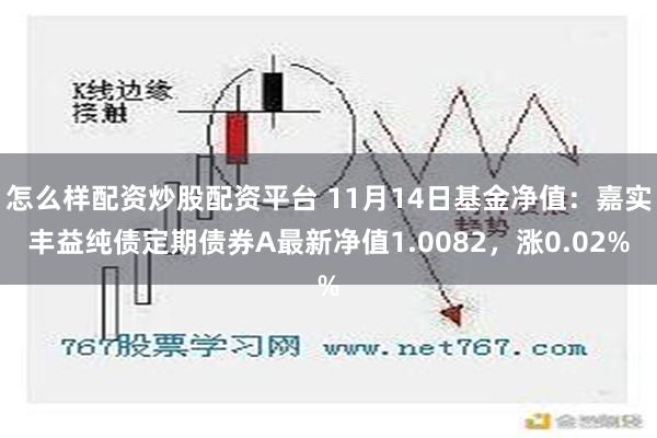 怎么样配资炒股配资平台 11月14日基金净值：嘉实丰益纯债定期债券A最新净值1.0082，涨0.02%