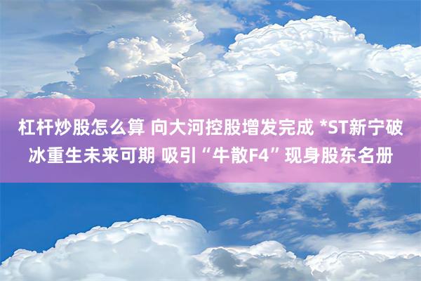 杠杆炒股怎么算 向大河控股增发完成 *ST新宁破冰重生未来可期 吸引“牛散F4”现身股东名册