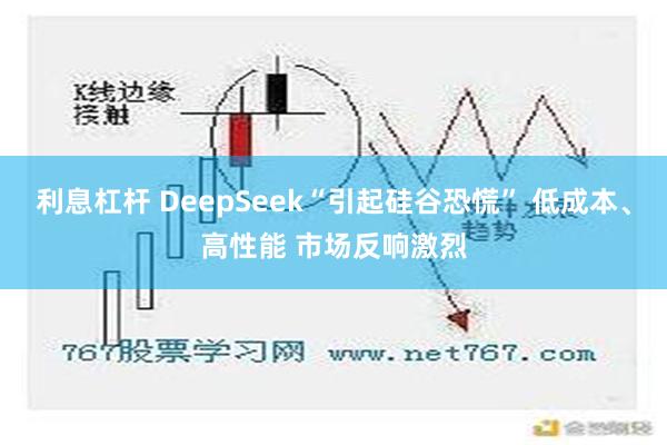 利息杠杆 DeepSeek“引起硅谷恐慌” 低成本、高性能 市场反响激烈