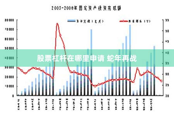 股票杠杆在哪里申请 蛇年再战